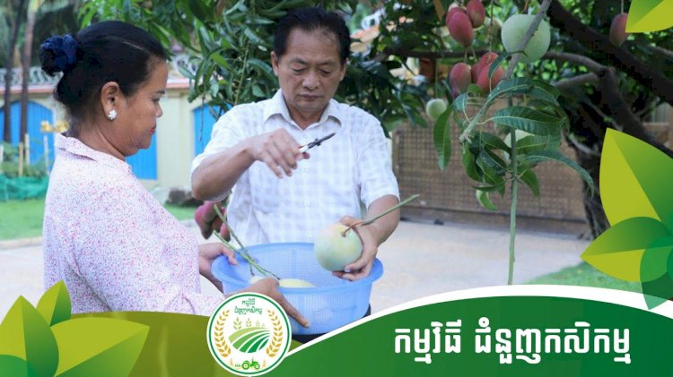 ជំនួញកសិកម្ម Ep.1 តំបន់កសិទេសចរណ៍ ម៉ុង ឫទ្ធី សែនជ័យ