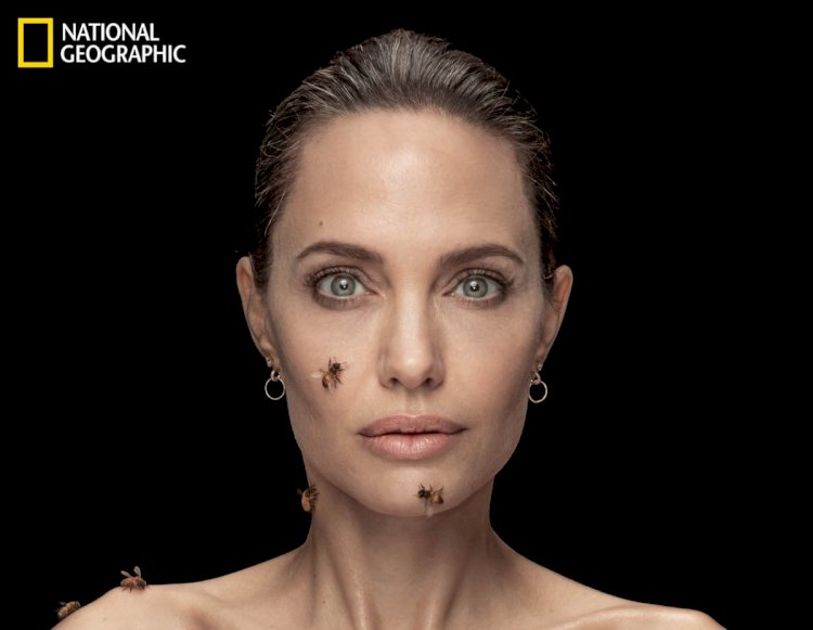 អ្នកគាំទ្រ Angelina jolie បានយករូប ១៨ឆ្នាំមុន មកប្រៀបធៀបជាមួយបច្ចុប្បន្ន ពិតជា...