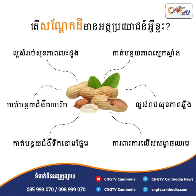 តើសណ្តែកដីមានអត្ថប្រយោជន៍អ្វីខ្លះ?