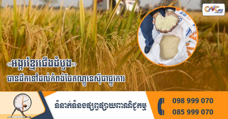 អង្ករខ្មែរជើងដំបូង បានដឹកទៅដល់កំពង់ផែឥណ្ឌូនេស៊ីជាផ្លូវការ