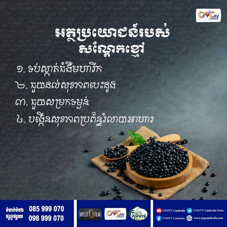 អត្ថប្រយោជន៍របស់សណ្តែកខ្មៅ