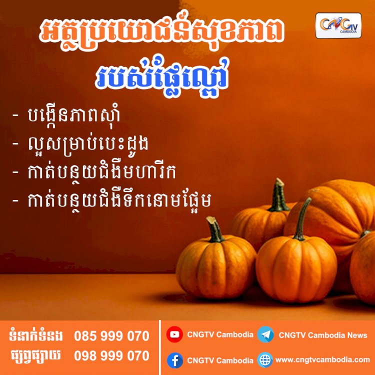 អត្ថប្រយោជន៍សុខភាពរបស់ផ្លែល្ពៅ