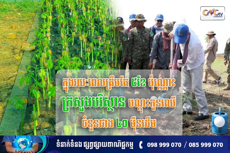 ក្នុងរយៈពេលត្រឹមតែ ៥ខែប៉ុណ្ណោះក្រសួងបរិស្ថាន បណ្តុះកូនឈើចំនួនជាង ៤០ម៉ឺនដើម